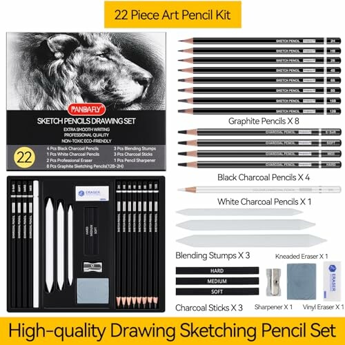 22 piece art pencil kit with sketching and charcoal pencils, blending stumps, and erasers.