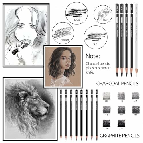 Charcoal and graphite pencil set with sketches of a woman and a lion.