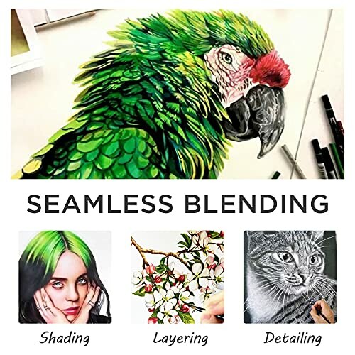 Colored pencil drawings showcasing a parrot, a woman, flowers, and a cat with emphasis on seamless blending, shading, layering, and detailing.