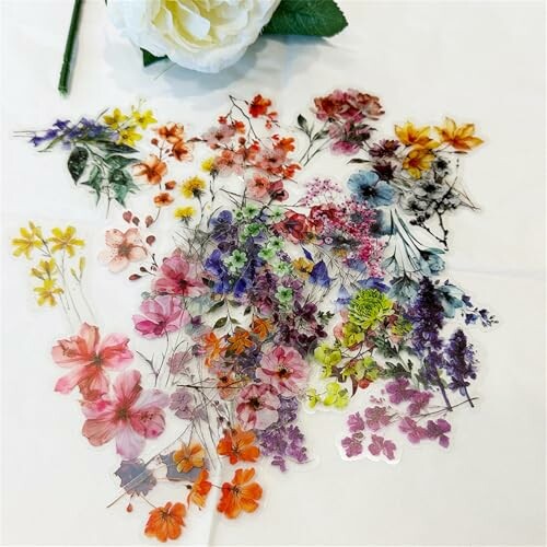 Assorted colorful dried flowers arranged on a white surface.