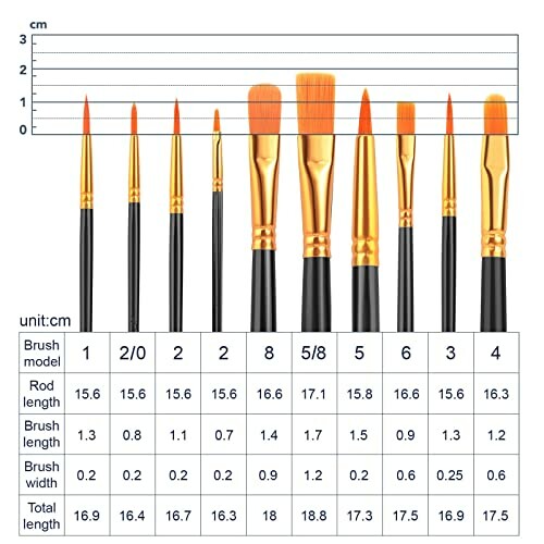 Various paint brushes with size chart in centimeters.