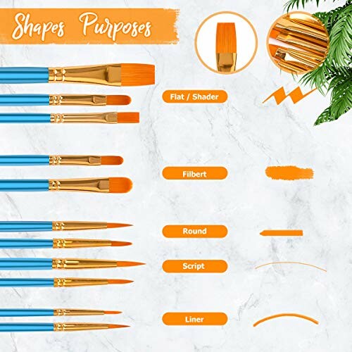 Guide showing different paint brush shapes and their purposes with illustrations.