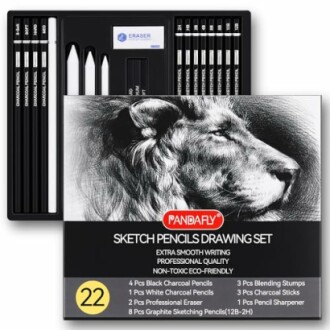 Pandafly sketch pencils drawing set with lion illustration