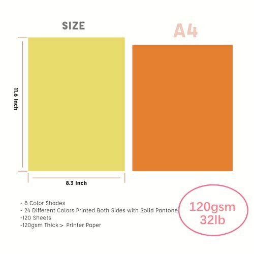 Comparison of A4 paper size with details on color and thickness.